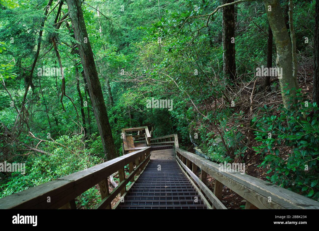 Escalier, parc national de la gorge de Tallulah, Géorgie Banque D'Images