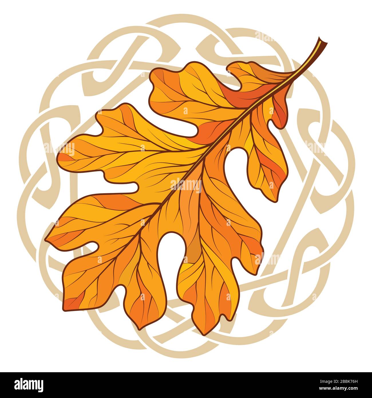 Feuille de chêne en coloration d'automne et ornement magique celtique Illustration de Vecteur