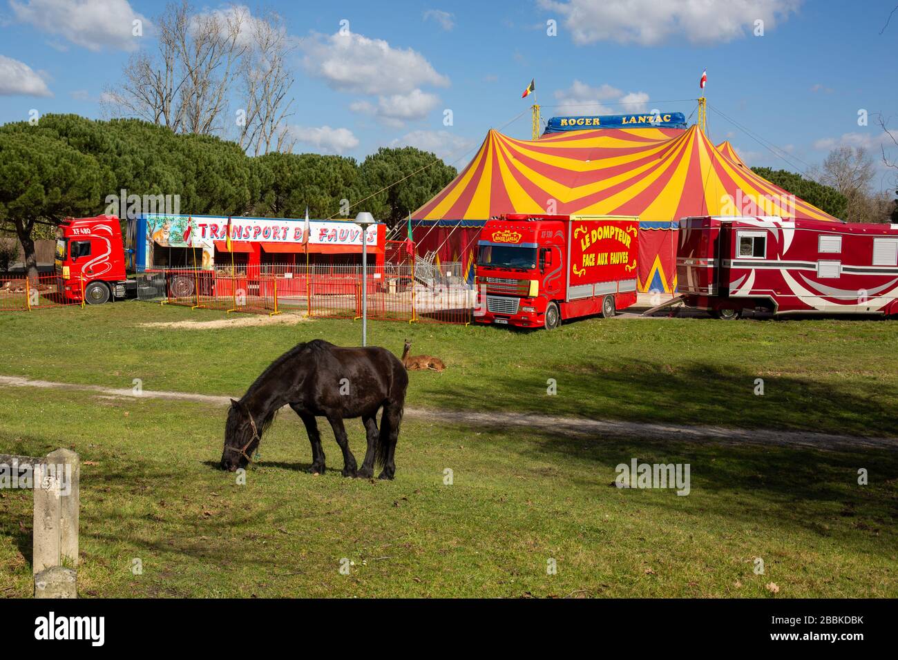 Bordeaux , Aquitaine / France - 03 15 2020 : roger lanzac tente de cirque camions rouge jaune rayures et animaux Banque D'Images