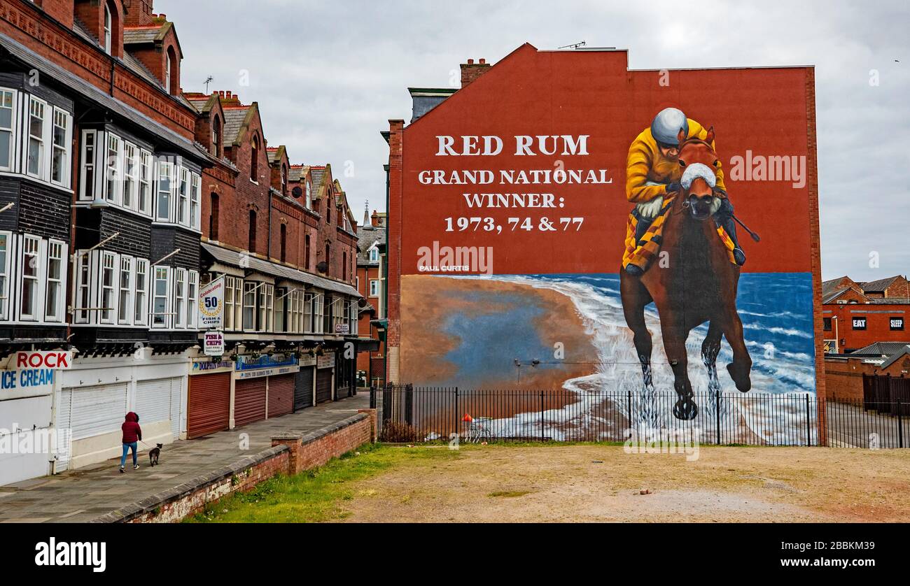 Une fresque du légendaire cheval de racée Red Rum, créée par l'artiste de rue Paul Curtis et commandée par le Conseil de Sefton, a été dévoilée à l'extrémité pignon des appartements dans l'avenue Scarick, Southport. Banque D'Images