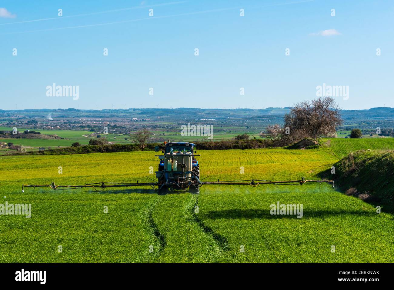 19 février 2020 - Belianes-Preixana, Espagne. Un tracteur pulvérise un produit inconnu sur des cultures dans un champ vert dans les plaines de Belianes-Preixana. Banque D'Images