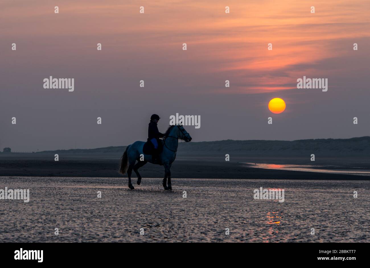 Magnifique coucher de soleil à Camber Sands avec une silhouette de cheval et de cavalier, Angleterre Banque D'Images
