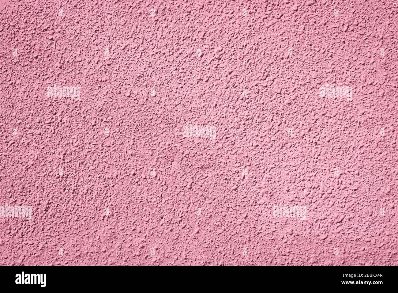 Texture de stuc rose. Fond Uni pour le design. Gros plan. Banque D'Images