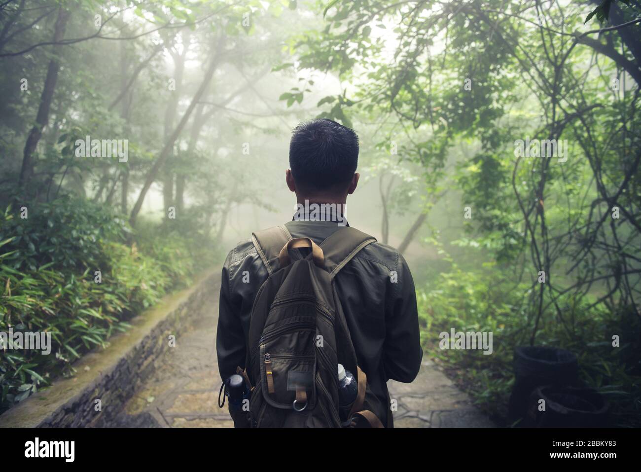 Homme marchant dans la forêt avec le fond de la nature de brume, Voyage style de vie et survie concept. Banque D'Images