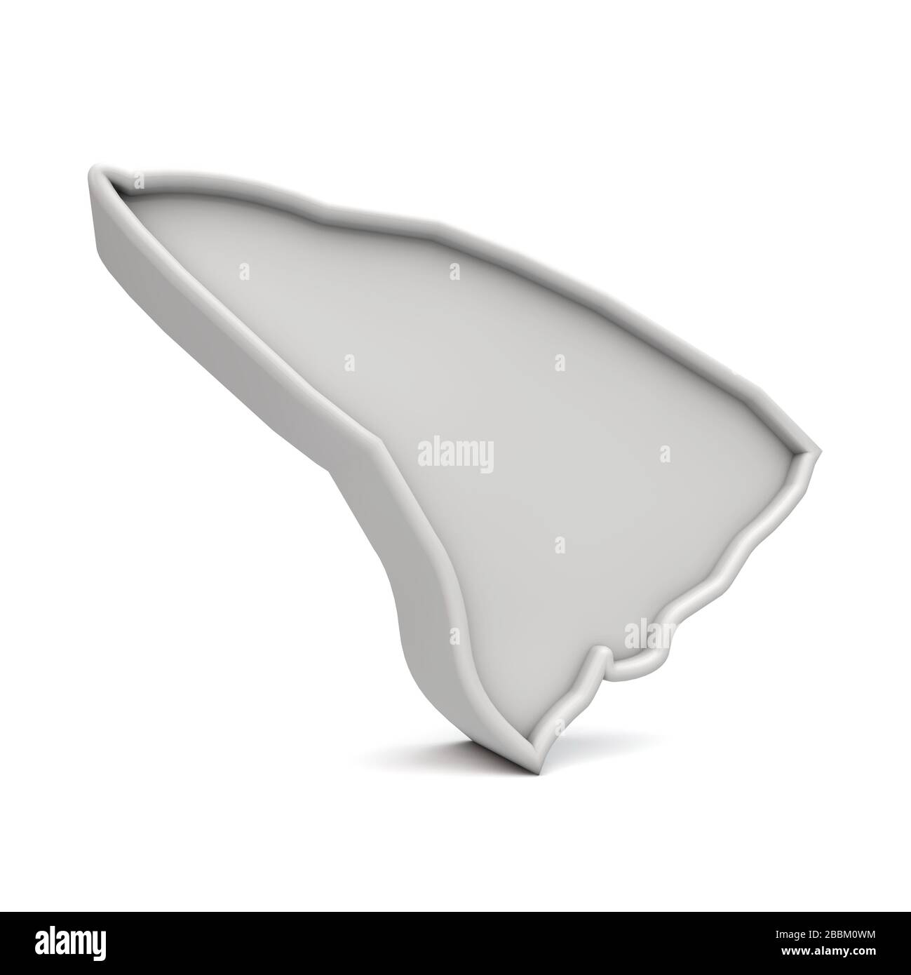 État américain de la Caroline du Sud, carte tridimensionnelle simple en gris blanc. Rendu 3D Banque D'Images