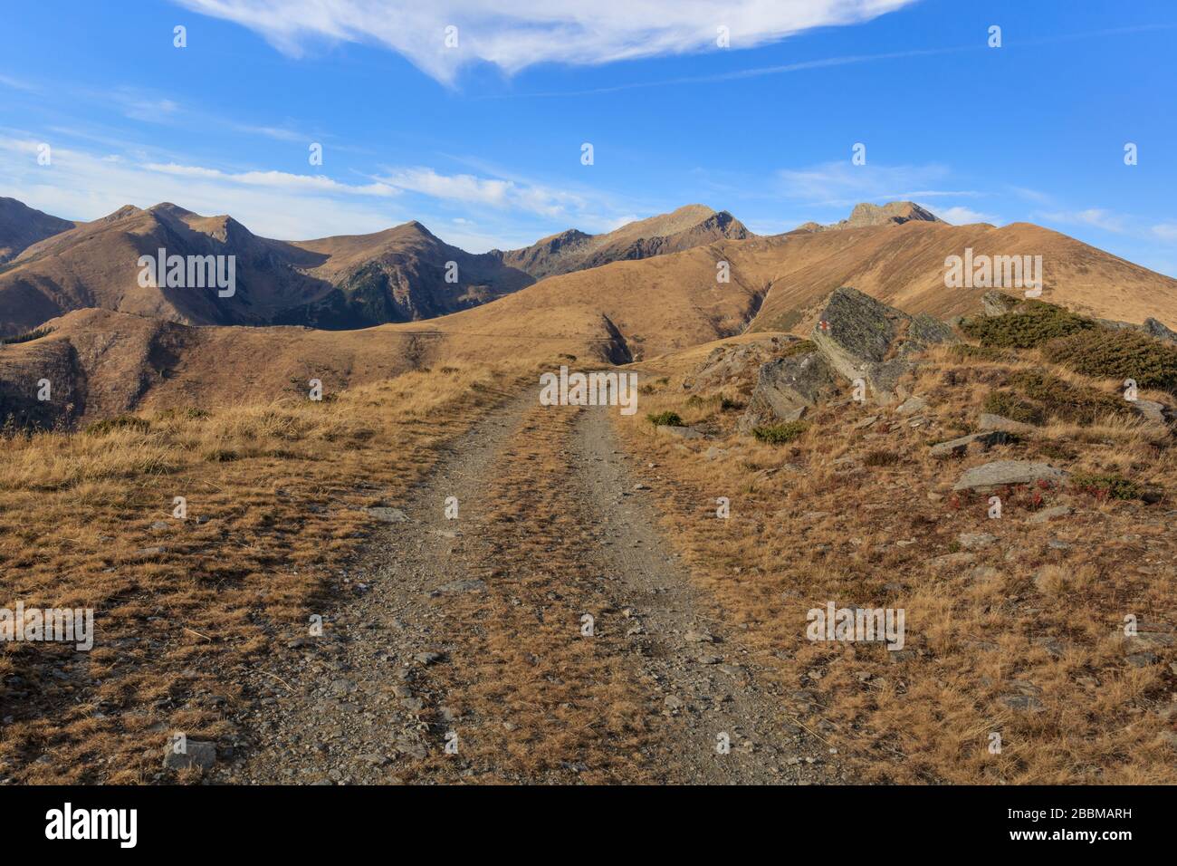 Route forestière dans les montagnes de Fagaras, Roumanie Banque D'Images