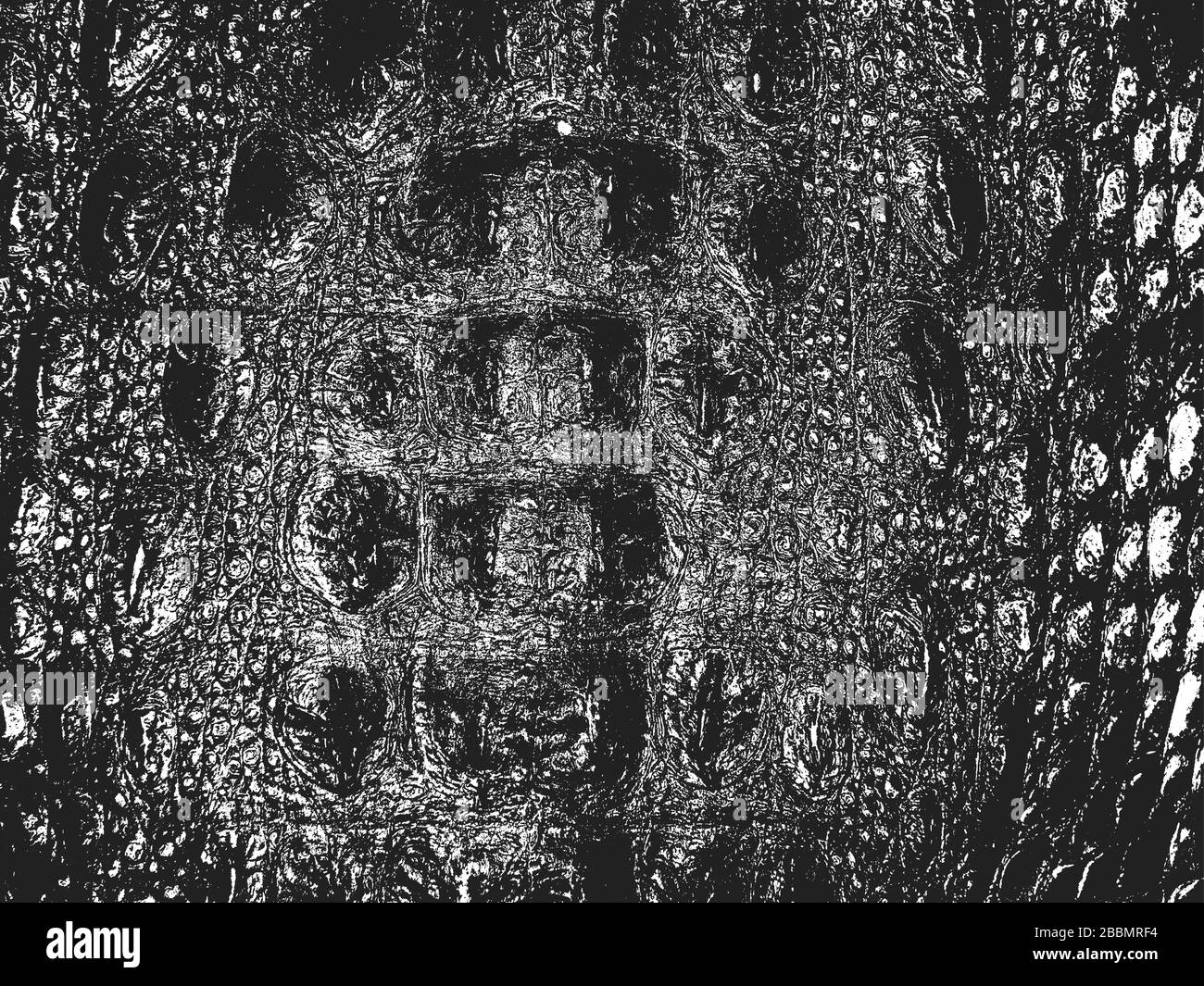 Peau de serpent de détresse texture grunge. Illustration vectorielle EPS 8. Fond noir et blanc. Illustration de Vecteur