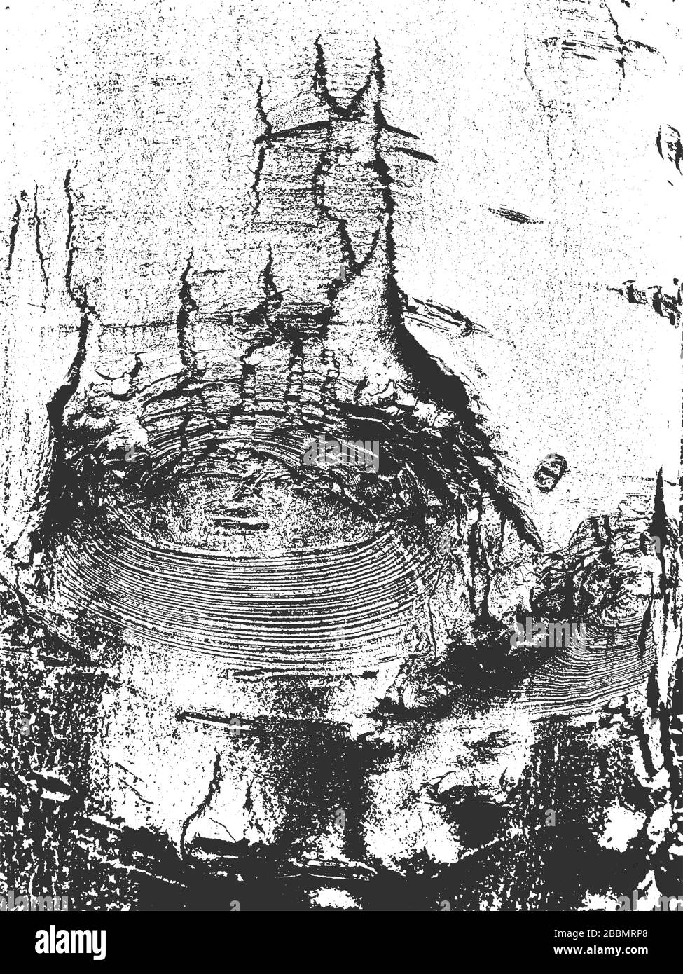 Détresse ancienne texture en bois sec. Fond gris noir et blanc. EPS8. Illustration vectorielle avec planches. Illustration de Vecteur