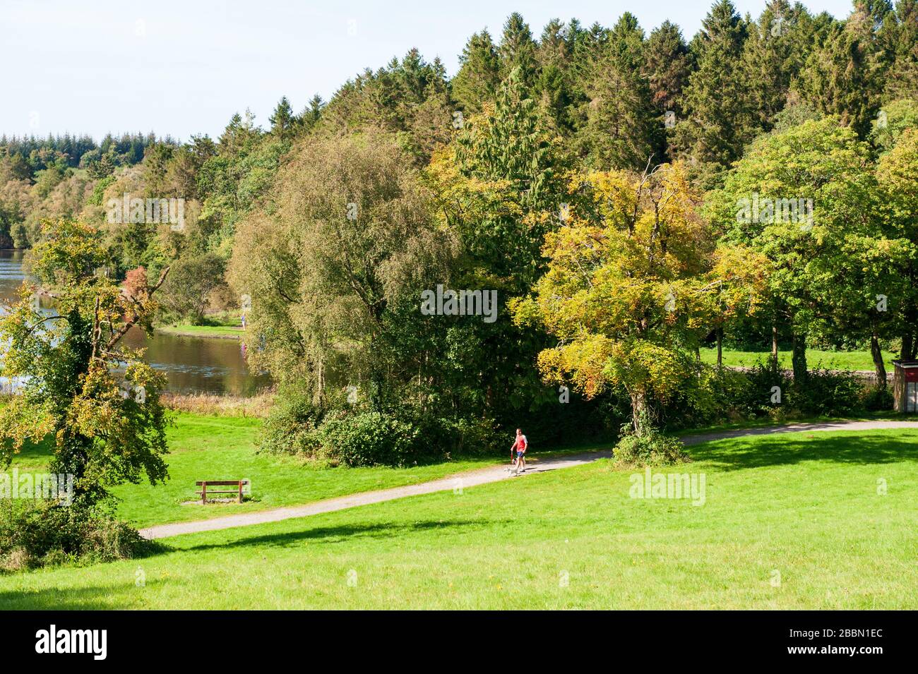 Parc forestier de Killykeen à Co.Cavan en automne, en Irlande Banque D'Images