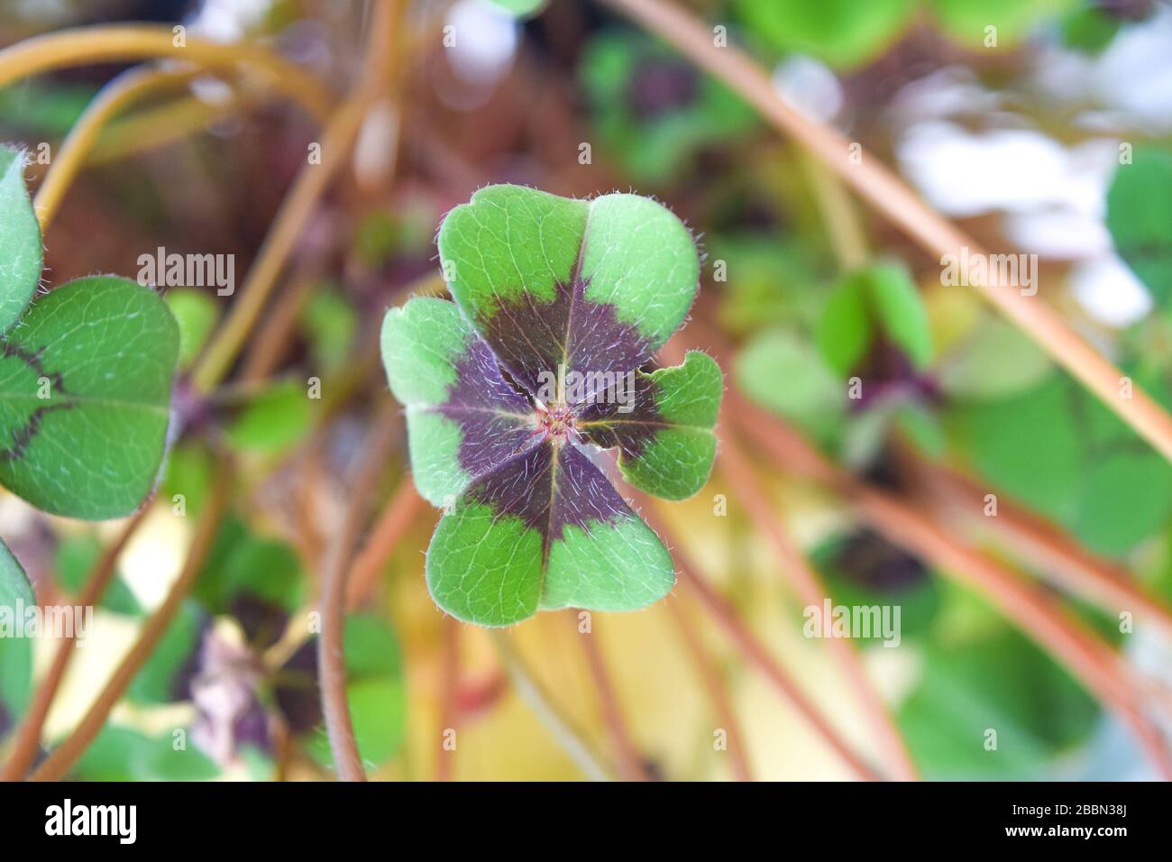La Chance Banque D Image Et Photos Alamy