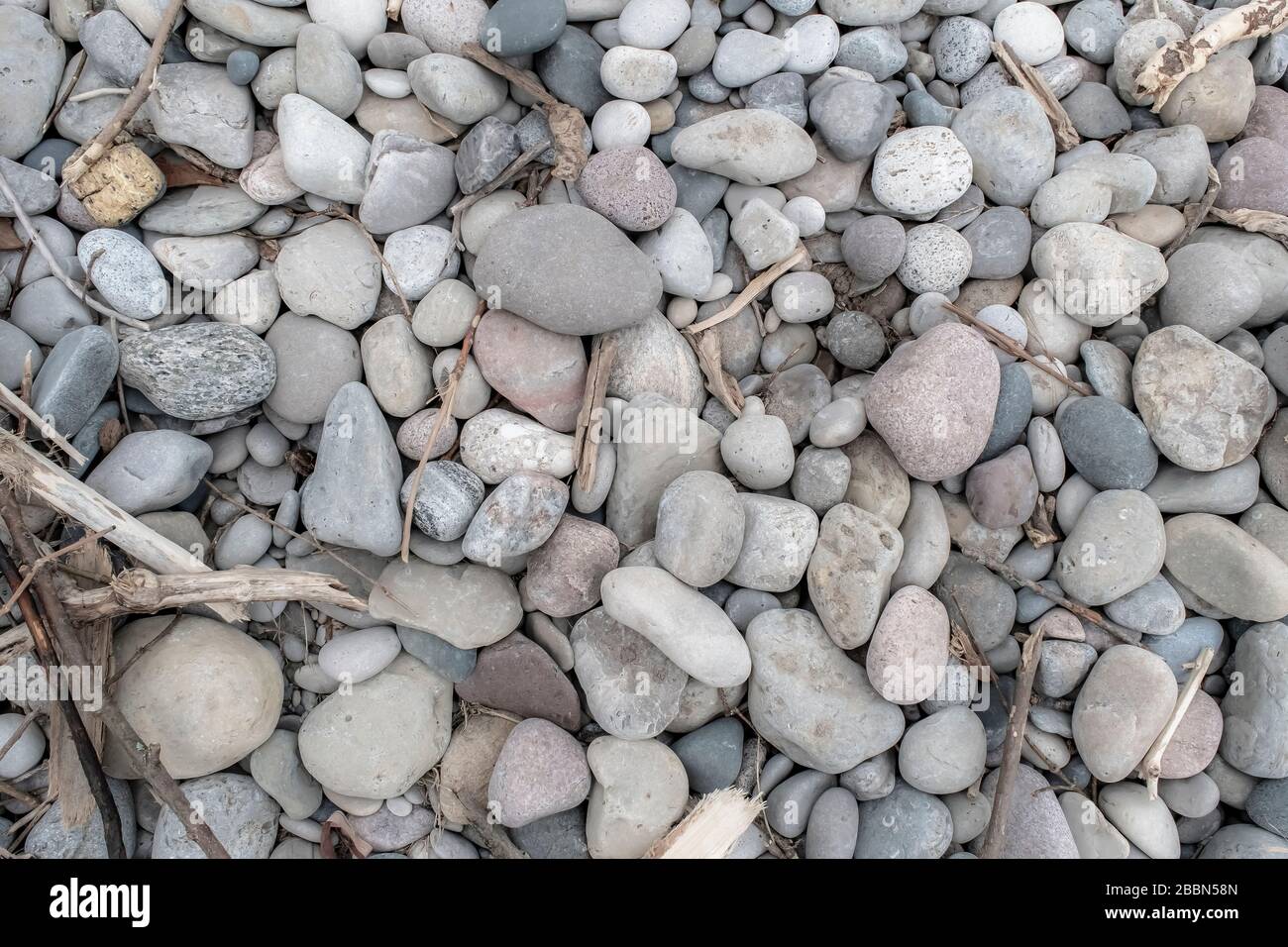 Rochers sur une plage jonchée de petites parties de bois dérivant Banque D'Images