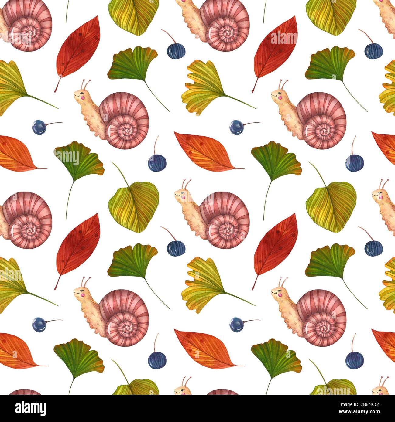 Motif aquarelle sans coutures avec feuilles colorées de chute, baies et escargot sur le fond blanc. Fond d'automne dessiné à la main. Joli imprimé nature. Banque D'Images