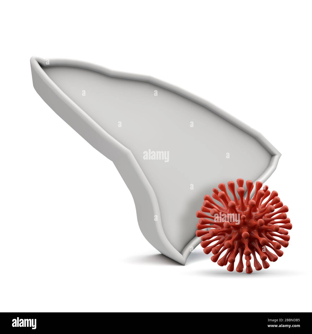 L'état américain de la Caroline du Sud avec le coronavirus mortel. Rendu 3D Banque D'Images