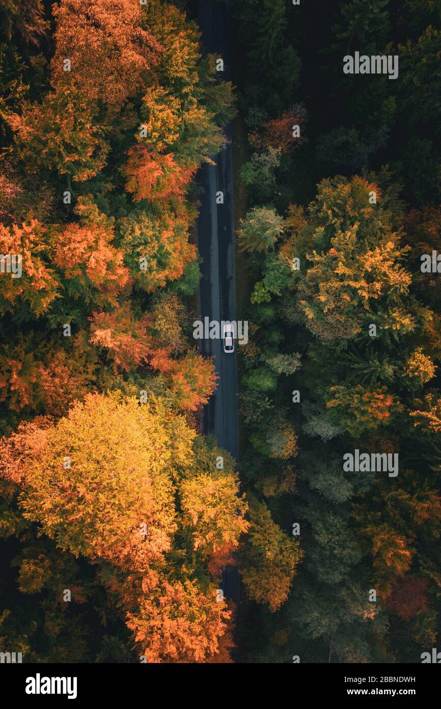 Autriche, Salzbourg. 12 octobre 2019. Surplombant une route traversant une forêt colorée près de Salzbourg. Banque D'Images