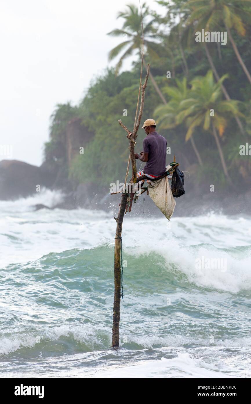 Pêche au stilt pêcheur à la plage de Mirissa sur la côte sud du Sri Lanka Banque D'Images