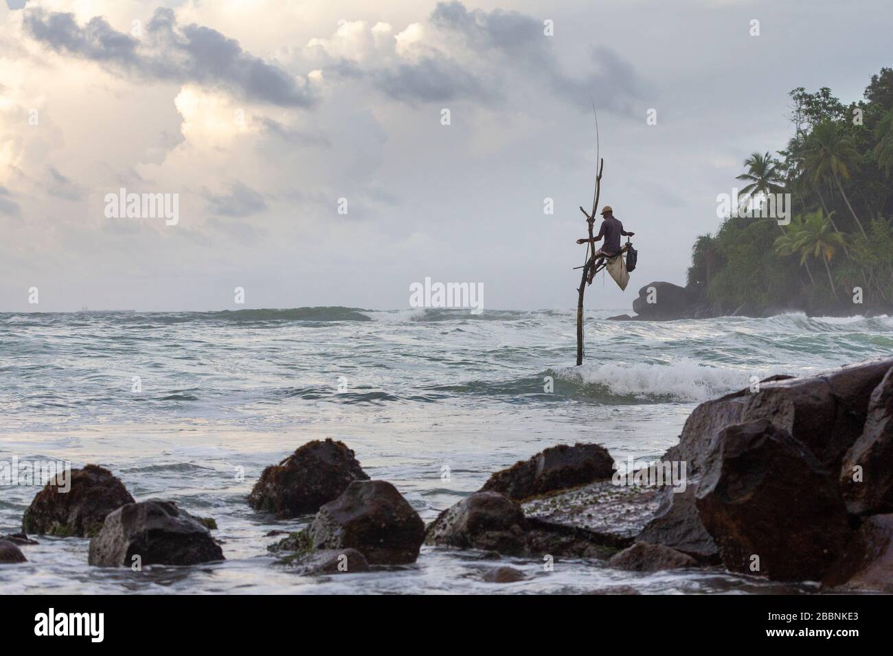 Pêche au stilt pêcheur à l'aube à la plage de Mirissa, sur la côte sud du Sri Lanka Banque D'Images