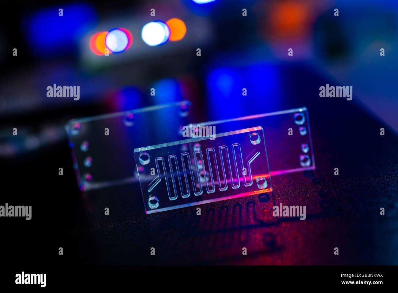 Organe-sur-puce (OOC) - dispositif microfluidique puce qui simule les organes biologiques c'est le type d'organes artificiels. Conception de prototypes de laboratoires sur puce Banque D'Images