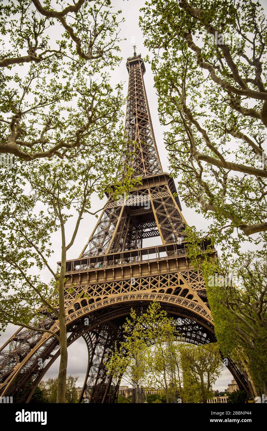 Vue sur la Tour Eiffel entre les arbres de Paris Banque D'Images