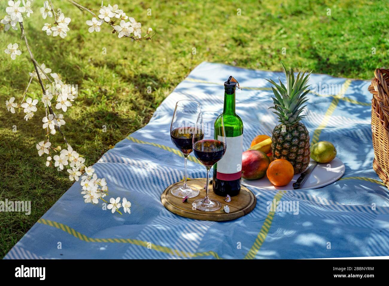 les activités à la maison pendant l'isolement ont un pique-nique avec du vin dans votre propre jardin Banque D'Images