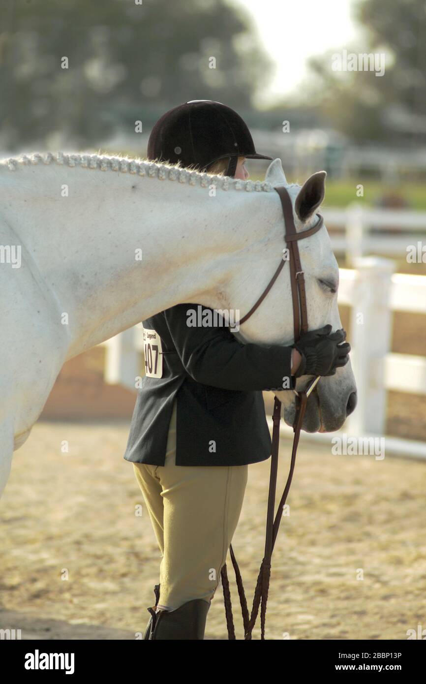 Jeune femme portant un costume anglais, helle son cheval en attendant la compétition Banque D'Images