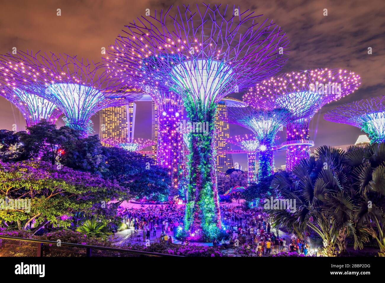 L'Supertree Grove spectacle léger à Gardens by the Bay Nature Park, Singapore Banque D'Images