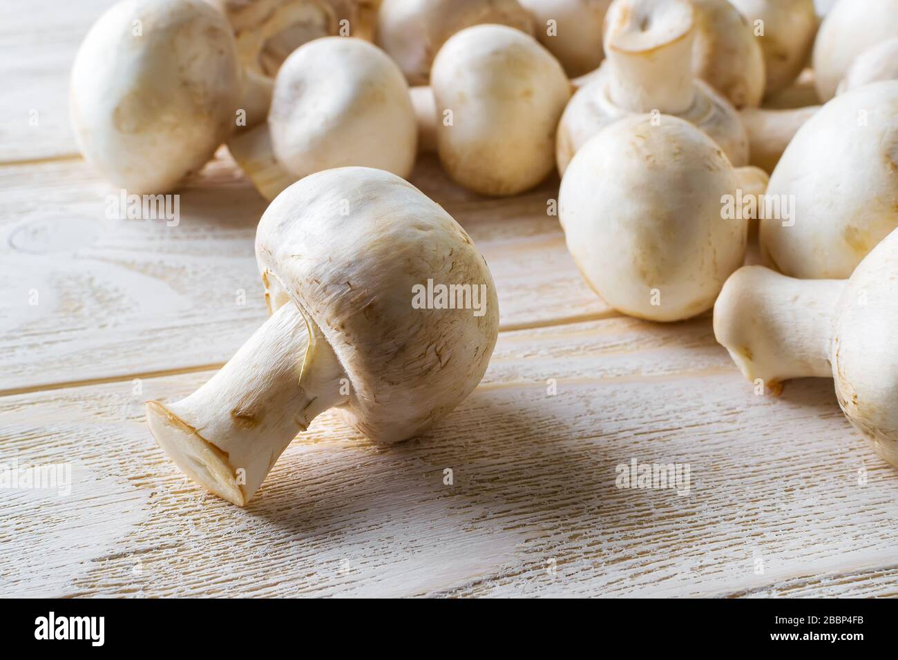 Gros plan de chamignon frais entier sur une table en bois blanc. Champignons en tant que protéines végétales, alimentation alimentaire brute, végétarisme. Vue de face. Banque D'Images