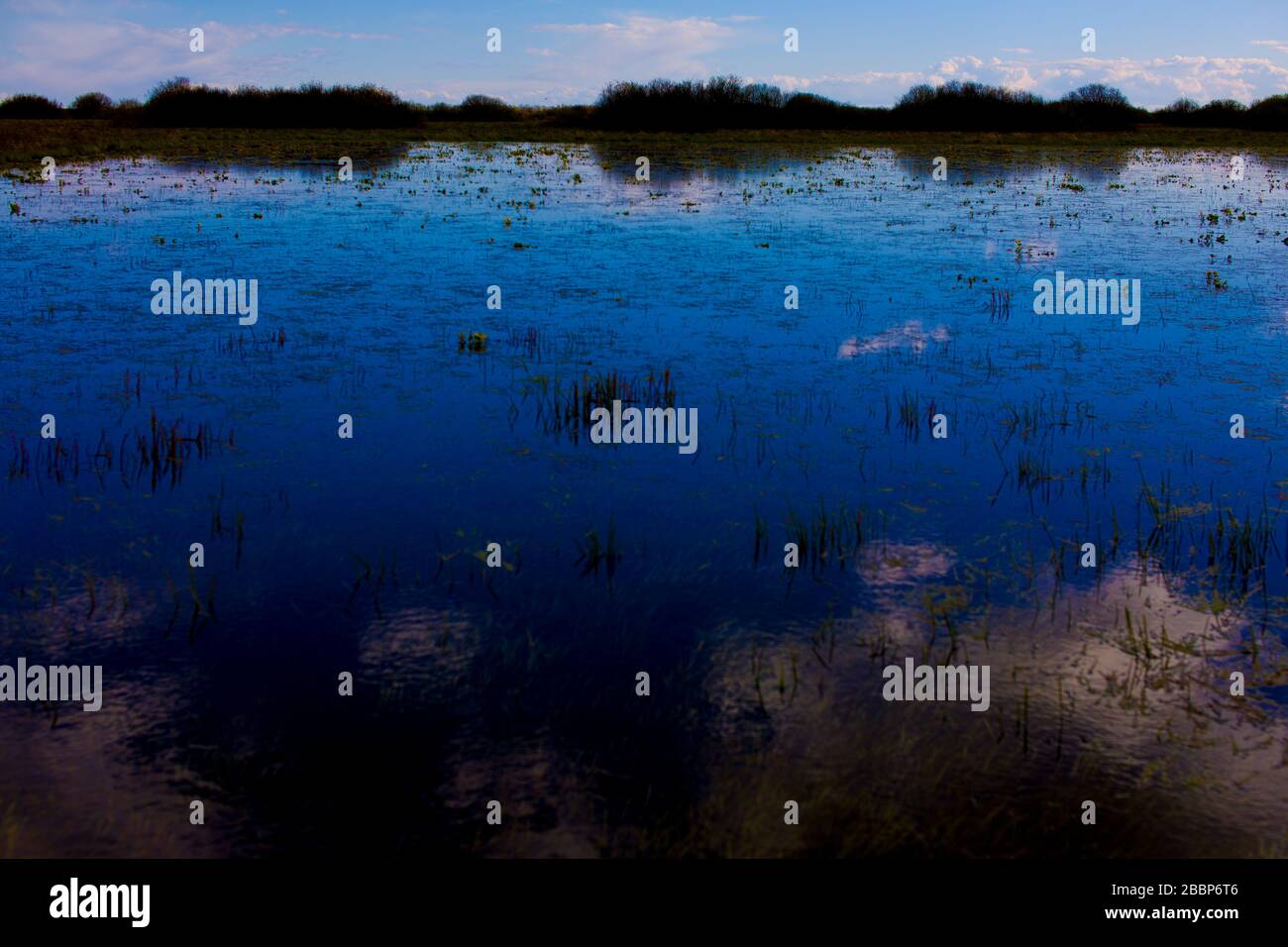 Paysage des marais de Biebrza à Podlasie en Pologne Banque D'Images