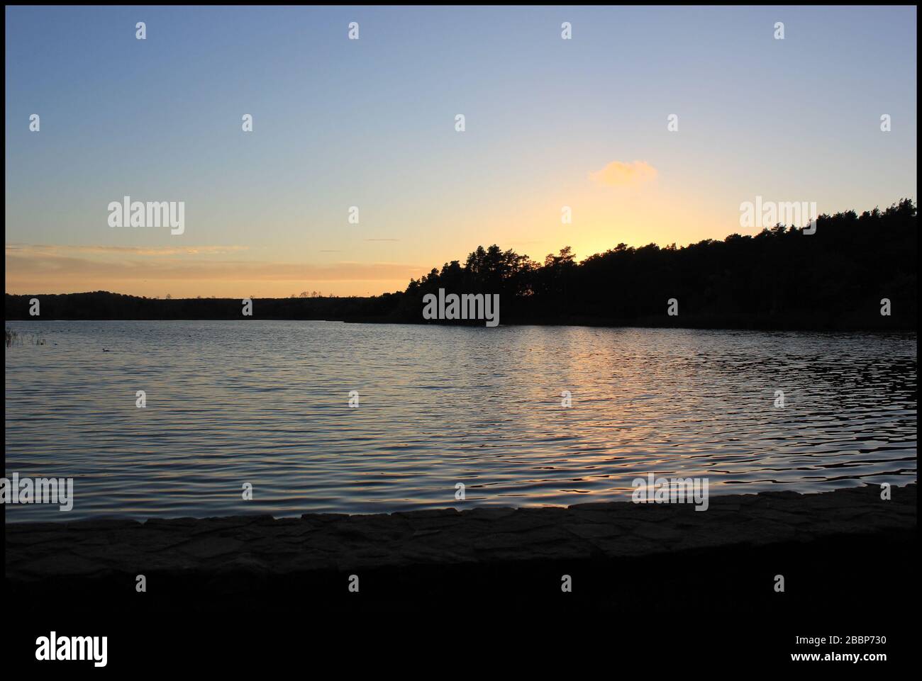 Lumière du soir sur le lac à Frensham Pond Banque D'Images