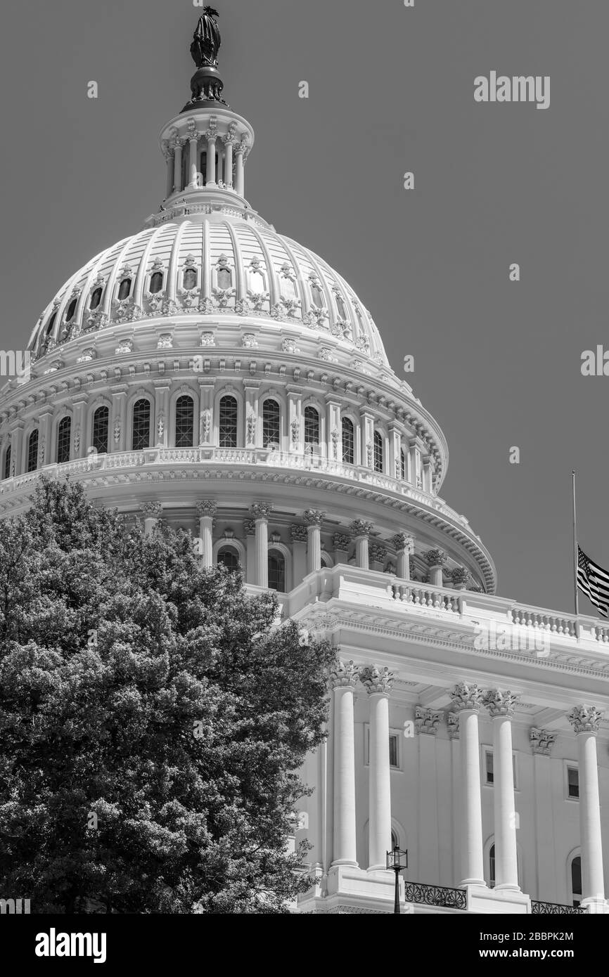 Le magnifique dôme en fonte du Capitole américain de Thomas U. Walter s'élève à 288' au-dessus de Capitol Hill à Washington DC Banque D'Images