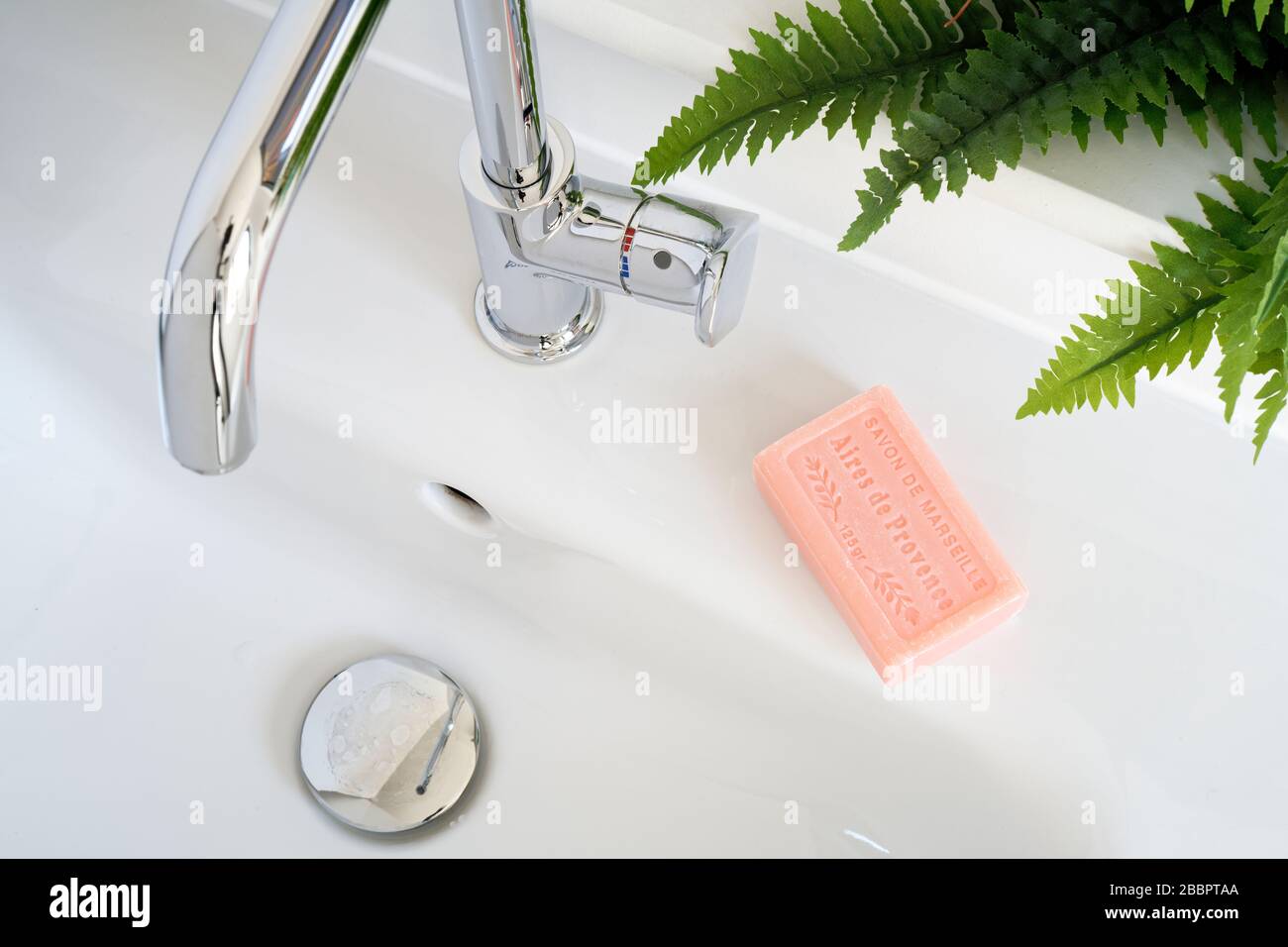 Un lavabo ou un lavabo pour toilettes domestiques. Barre de savon française rose, robinet chromé et fougères décoratives. Banque D'Images