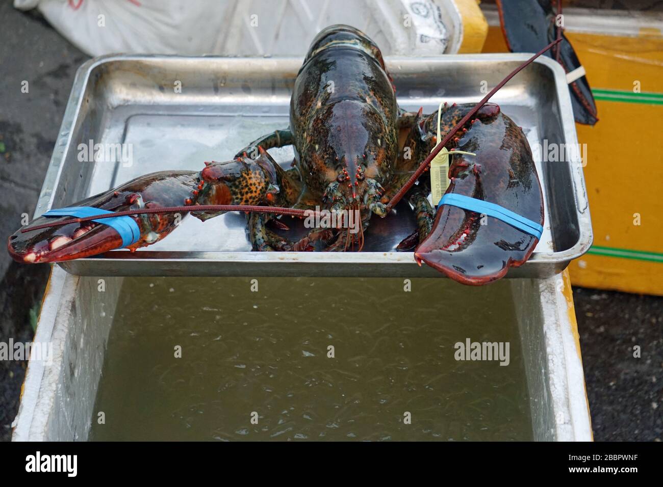 de délicieux fruits de mer frais dans un restaurant à danang au vietnam Banque D'Images