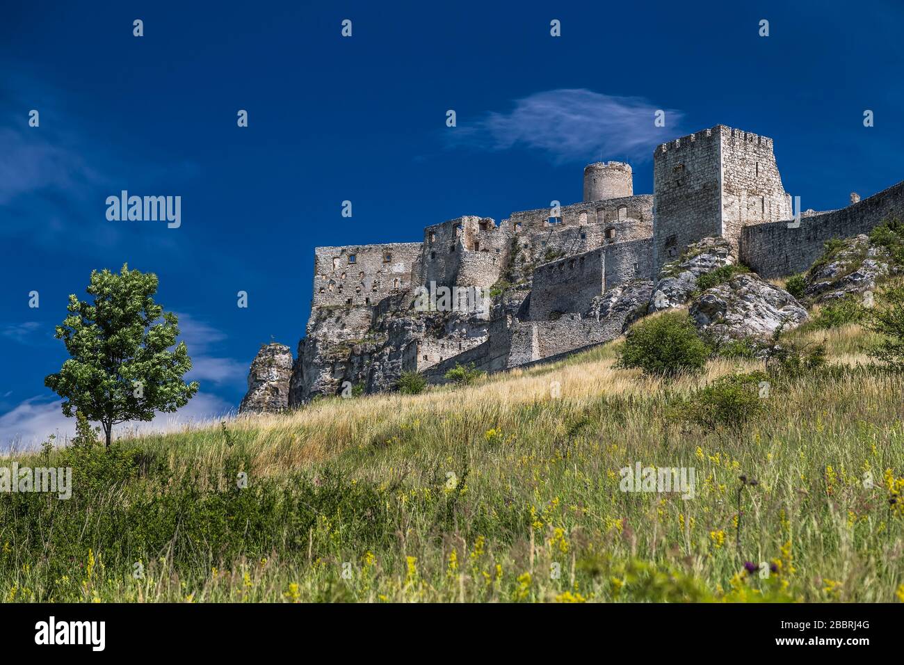 Les ruines du château de Spas dans l'est de la Slovaquie forment l'un des plus grands sites de château d'Europe centrale Banque D'Images