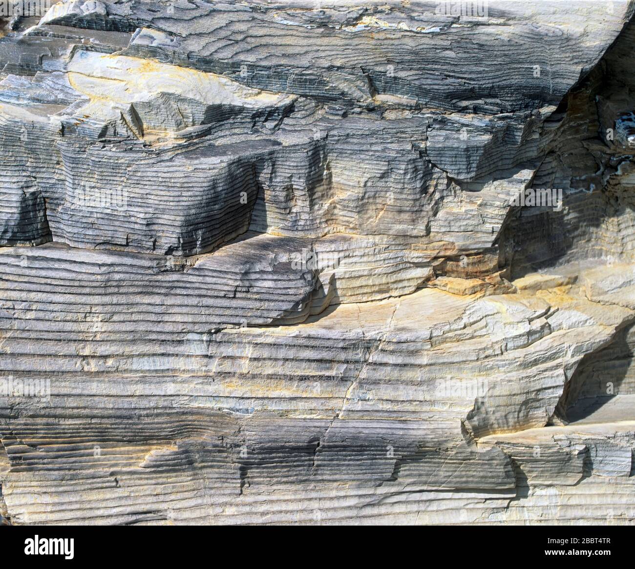 Détail des couches striées en bois pétrifié Banque D'Images