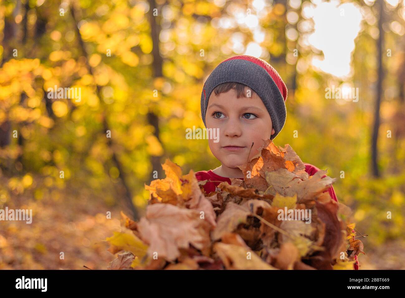un magnifique enfant dans un chapeau d'hiver se tient avec des feuilles  mortes jaunes dans le parc d'automne Photo Stock - Alamy