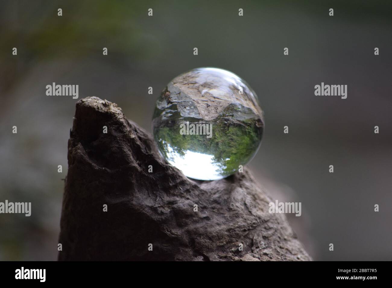 Petite boule de cristal perchée sur un Log in Rock Creek Park Banque D'Images