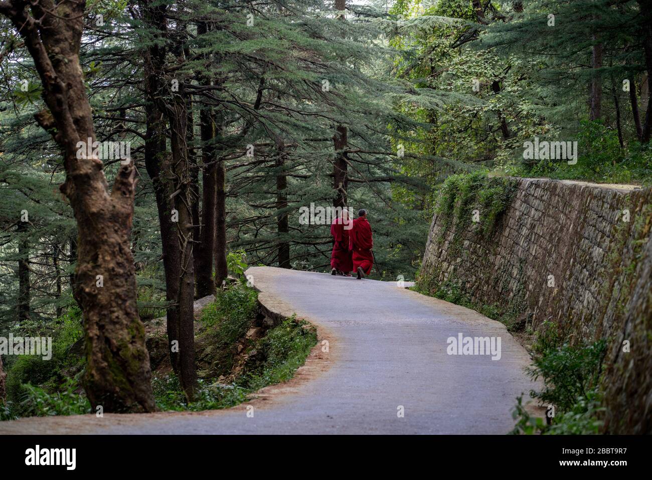 Randonnée à Dharmasala, un petit village du nord de l'Inde Banque D'Images