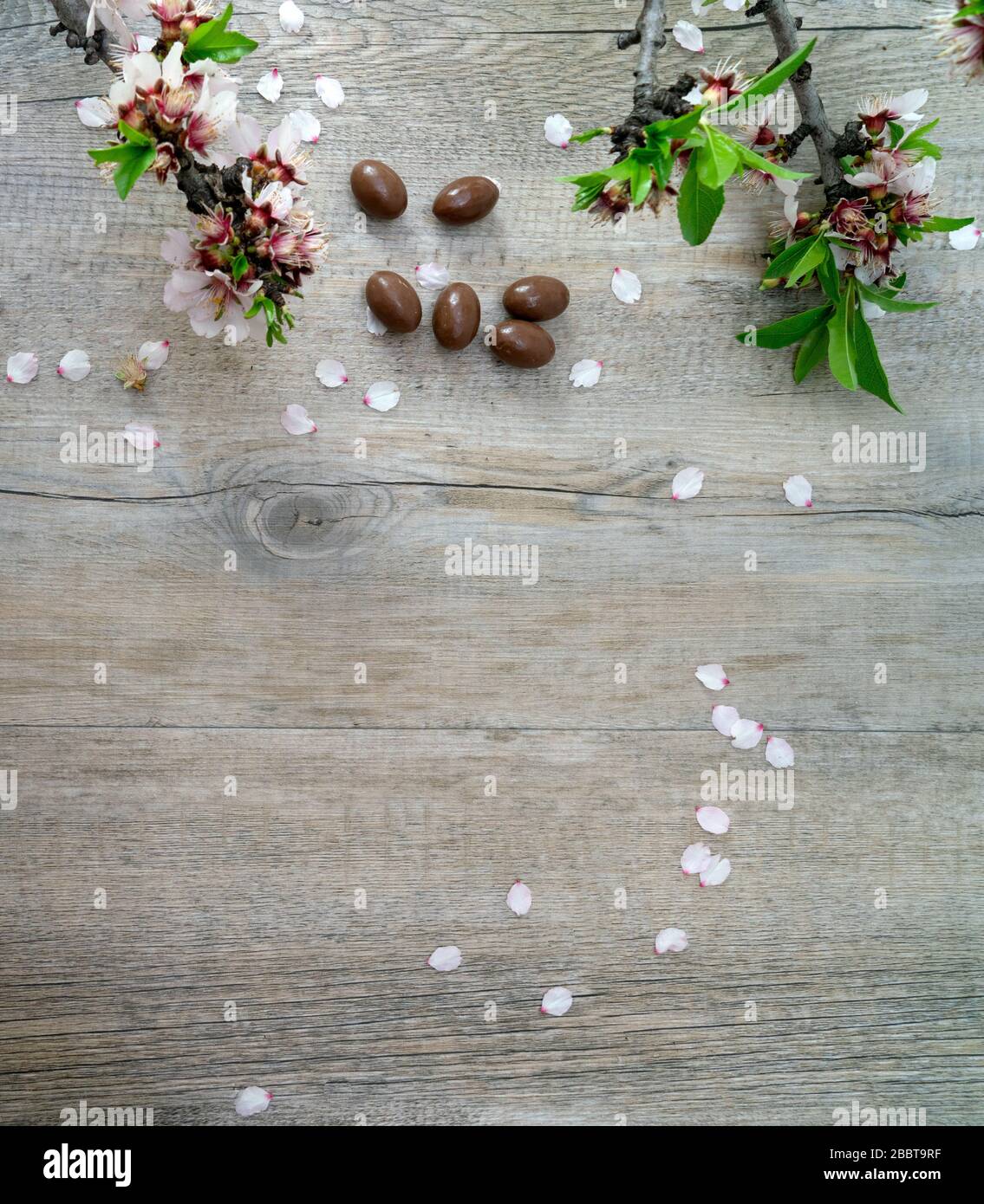 pâques sucrée italienne traditionnelle sur le fond de bois Banque D'Images