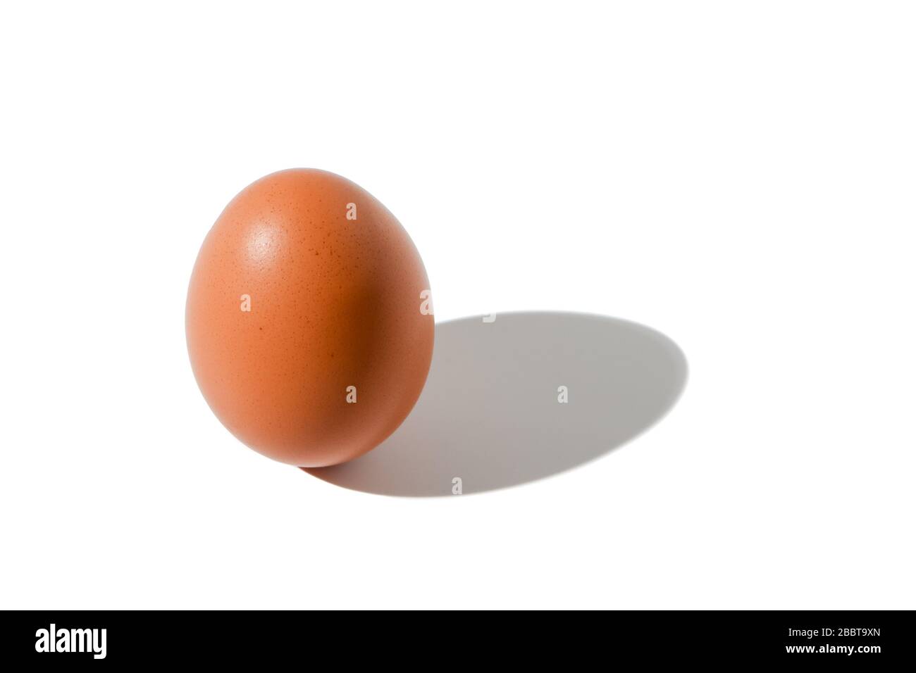 oeuf brun avec ombre sur fond blanc, composition isométrique, isolé Banque D'Images