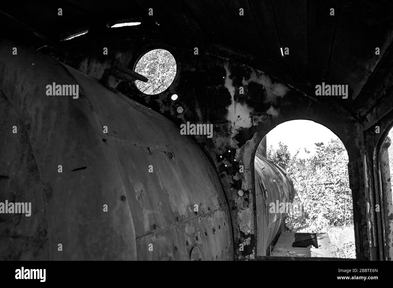 Ancienne locomotive à vapeur de chemin de fer dysfonctionnelle qui est surcultivée avec des mauvaises herbes. Banque D'Images