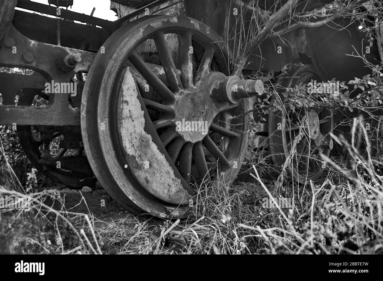 Ancienne locomotive à vapeur de chemin de fer dysfonctionnelle qui est surcultivée avec des mauvaises herbes. Banque D'Images