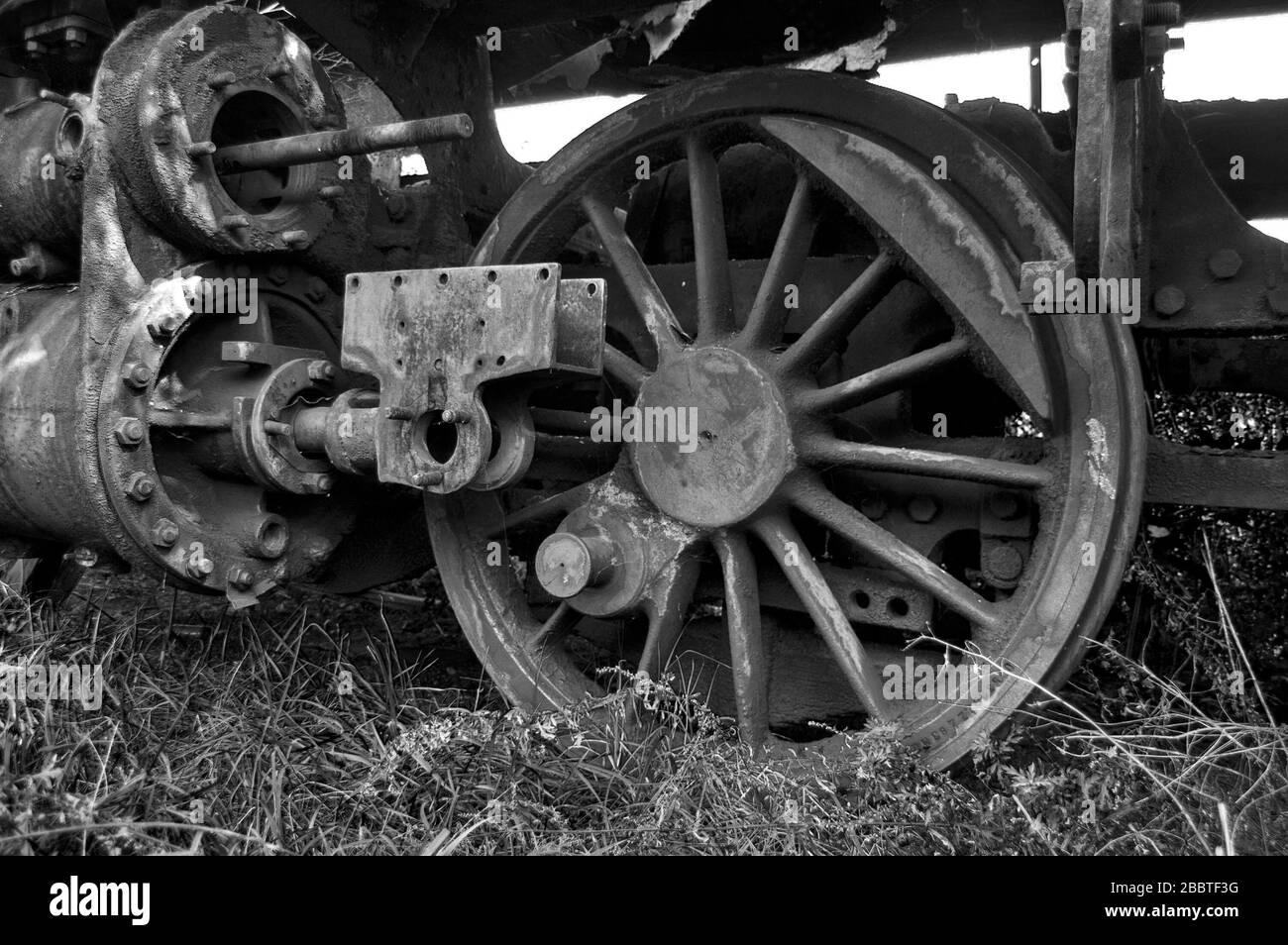 Ancienne locomotive à vapeur de chemin de fer dysfonctionnelle qui est surcultivée avec des mauvaises herbes. Banque D'Images