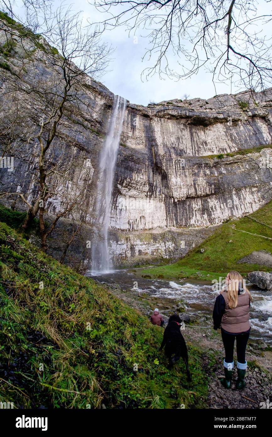 L'eau coule au-dessus de Malham Cove. Le 6 décembre 2015, après une période de forte pluie, Malham Cove devient temporairement la plus haute chute libre du Royaume-Uni. La falaise de calcaire verticale de 80 m au coeur du parc national du Yorkshire Dales a été formée au dernier âge de glace, mais l'eau n'a pas été vue se cascade de son bord dans la mémoire vive (voir « informations supplémentaires ») © Ian Wray /Alay Banque D'Images