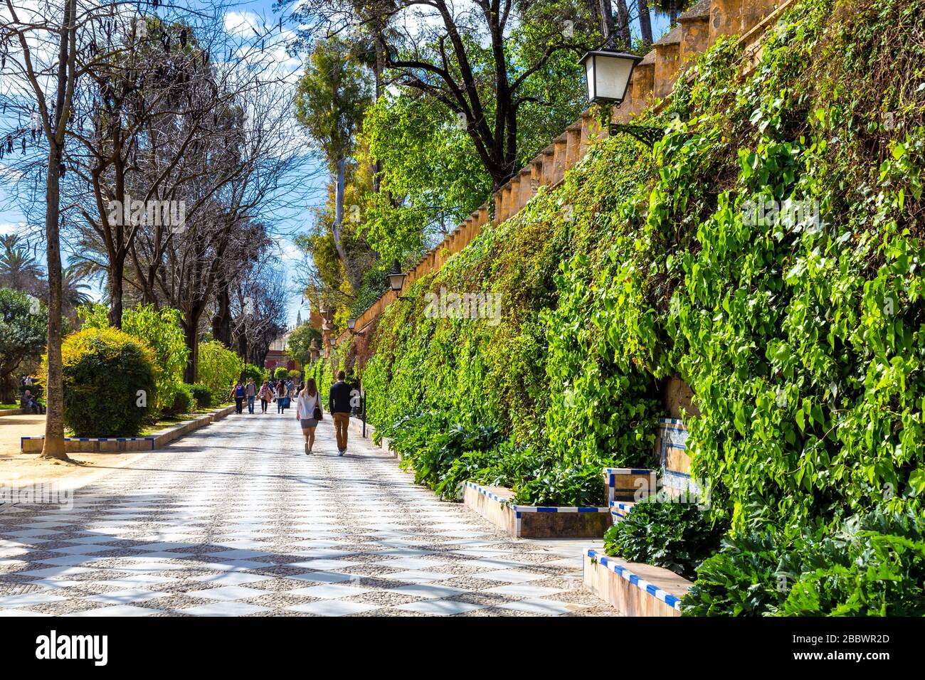 Jardines de Murillo, Séville, Andalousie, Espagne Banque D'Images