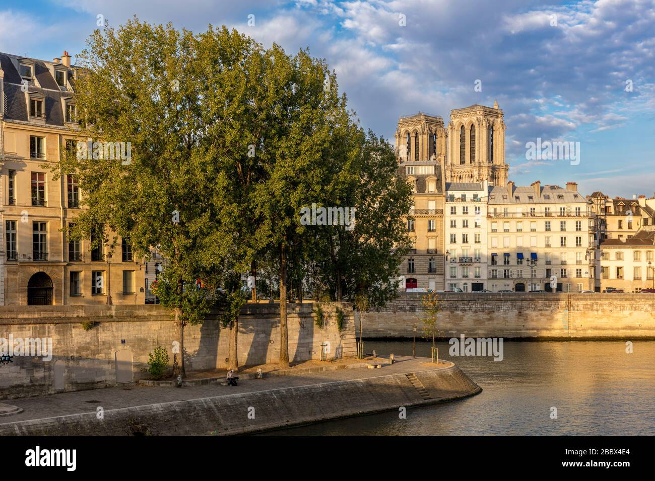 Vue tôt le matin sur la Seine de l'Ile Saint Louis, l'Ile-de-la-Cité et la Cathédrale notre Dame, Paris, France Banque D'Images