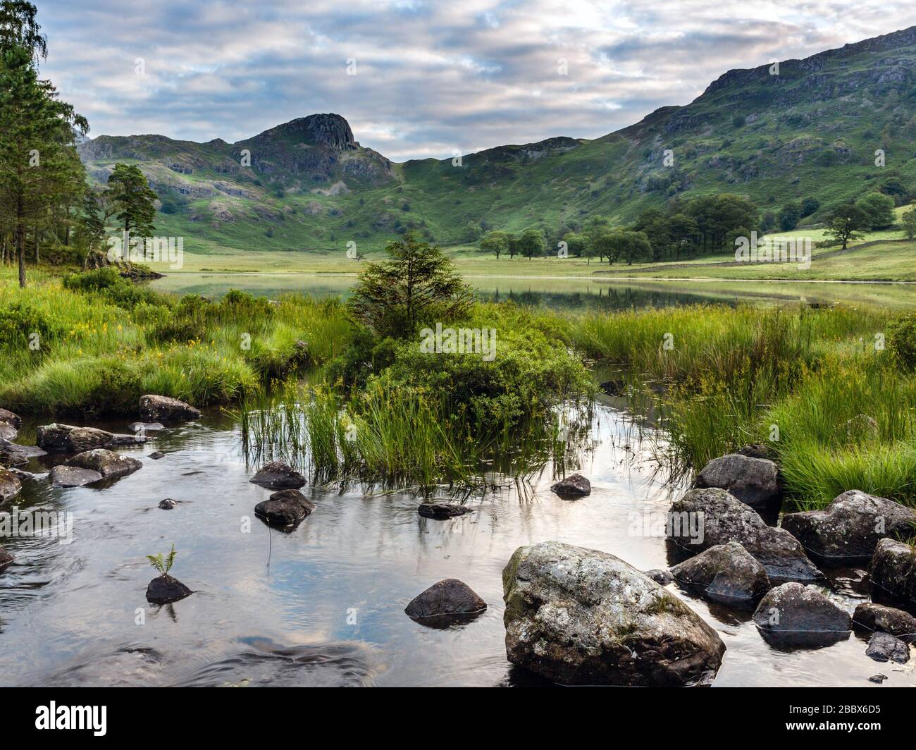 Blea Tarn, Lake District National Park, Cumbria, Angleterre, Royaume-Uni Banque D'Images