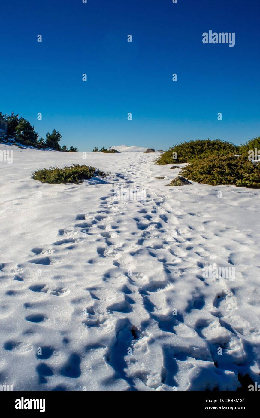 paysage horizontal d'un chemin sur la neige qui nous conduit au sommet de la montagne peñalara à segovia une journée ensoleillée avec un ciel bleu clair Banque D'Images