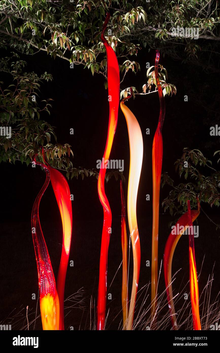 Queues de chat et roseaux de cuivre Chihuly Nights réflexions sur la nature coloré lumineux événement hiver 2019 à Kew Gardens, Richmond, Londres Banque D'Images