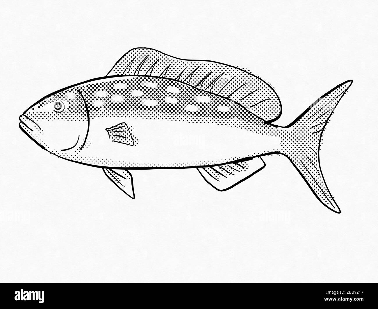 Dessin rétro de style dessin animé d'une Margate Yellowtail, une épave et des espèces de poissons de vie marine de récif de Floride et du golfe du Mexique vue de côté fait dans Banque D'Images