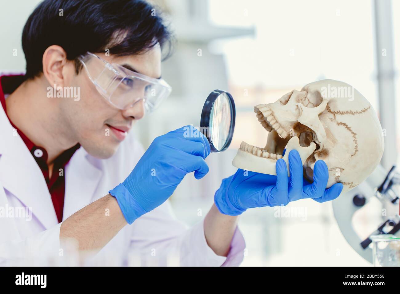 Scientifique anthropologie physique dans le laboratoire de sciences biologiques étudiant l'os humain regardant avec loupe dans le crâne pour étudier le montage et l'âge des dents d'un Banque D'Images