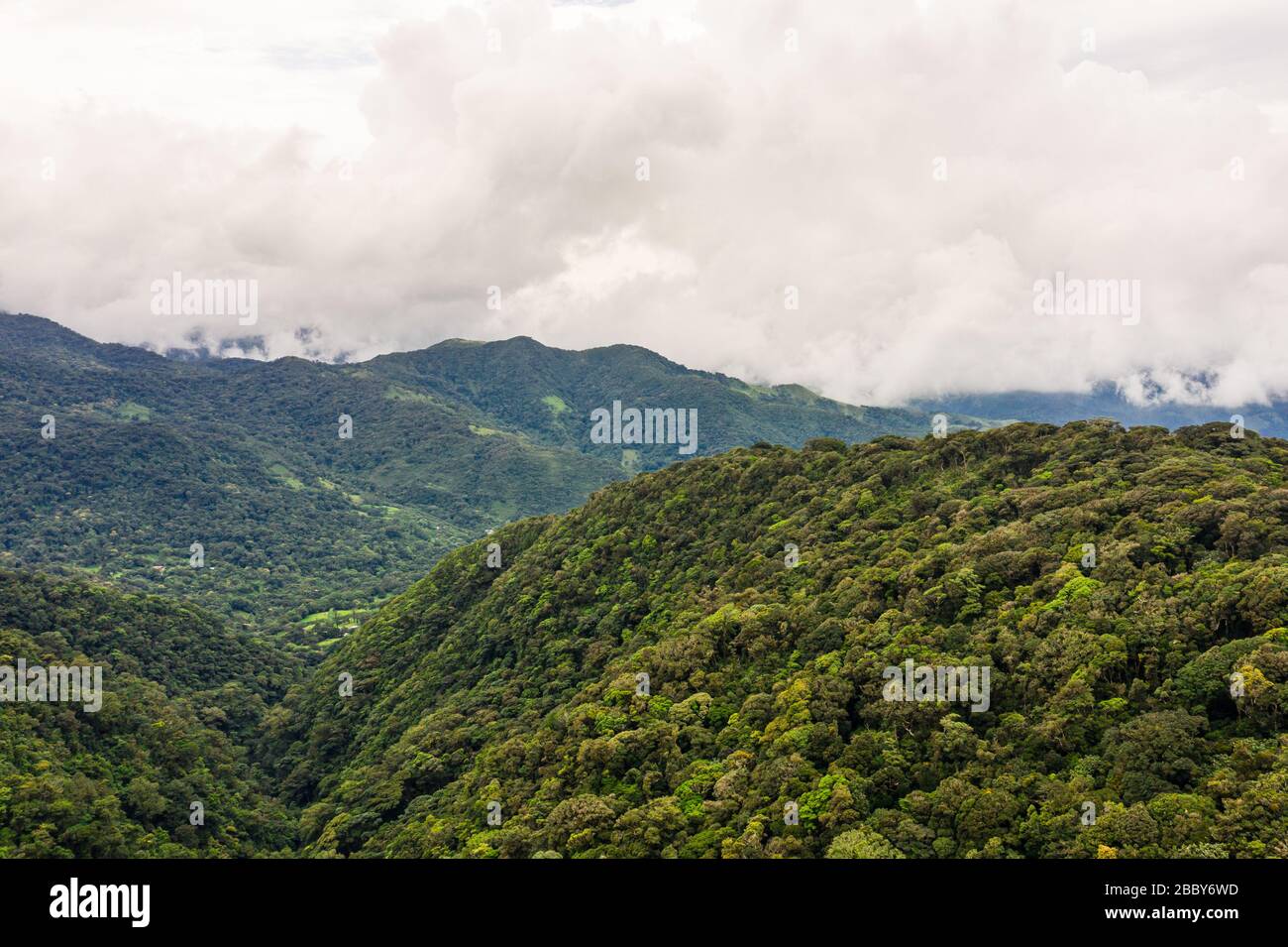 Vue aérienne de la réserve biologique de la Forêt-Cloud Monteverde, province de Puntarenas, Costa Rica. Banque D'Images
